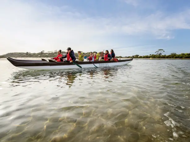 Nz south dunedin family kayaking