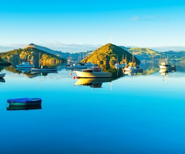 Nz south dunedin port chalmers