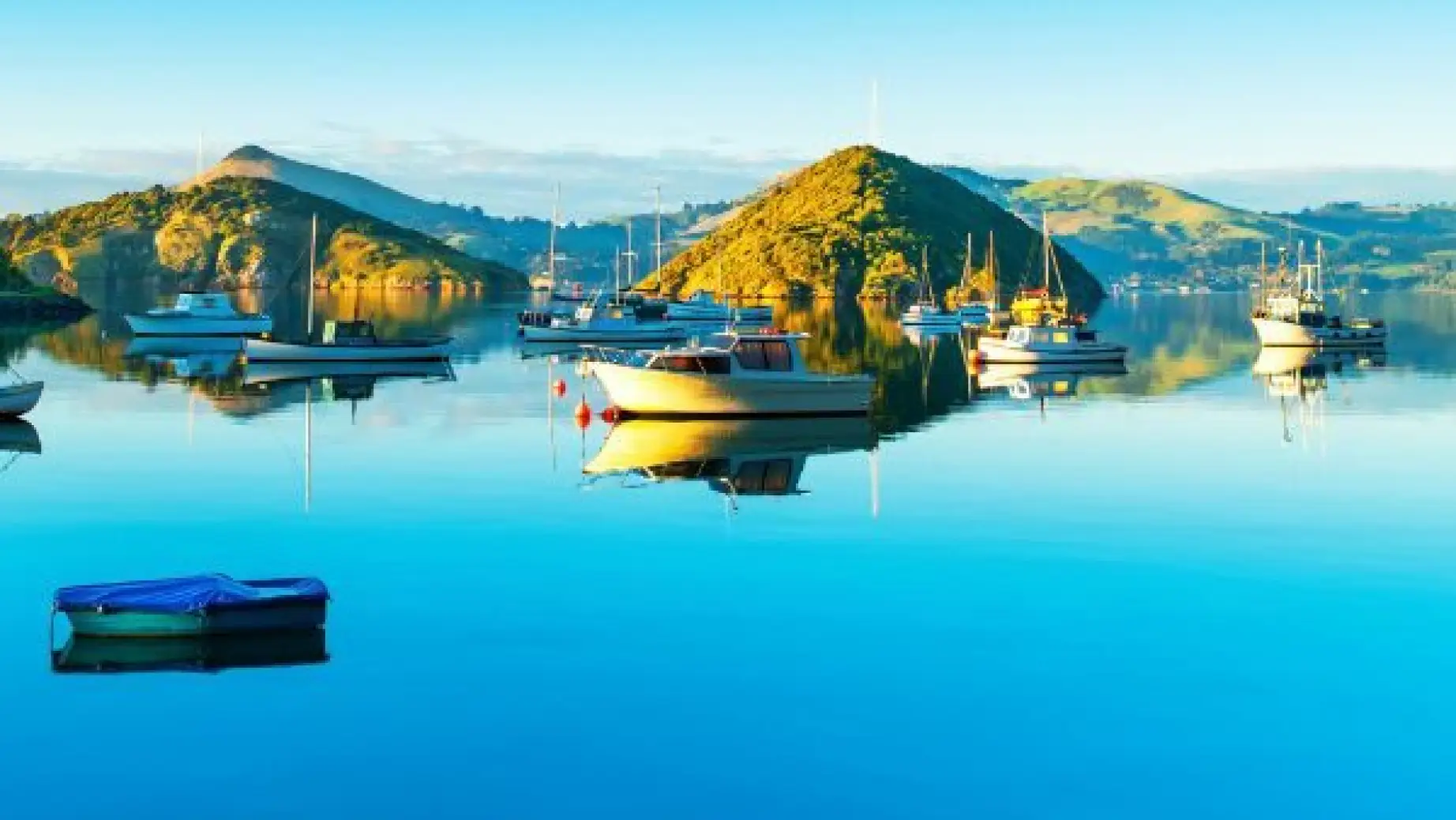 Nz south dunedin port chalmers