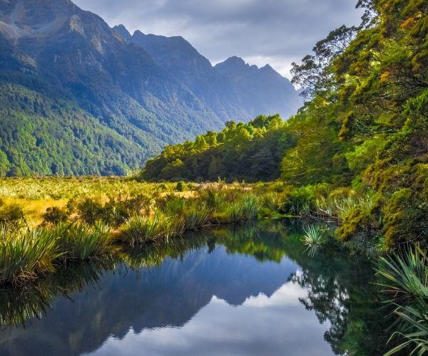 nz-south-fiordland national park-milford sound scenery