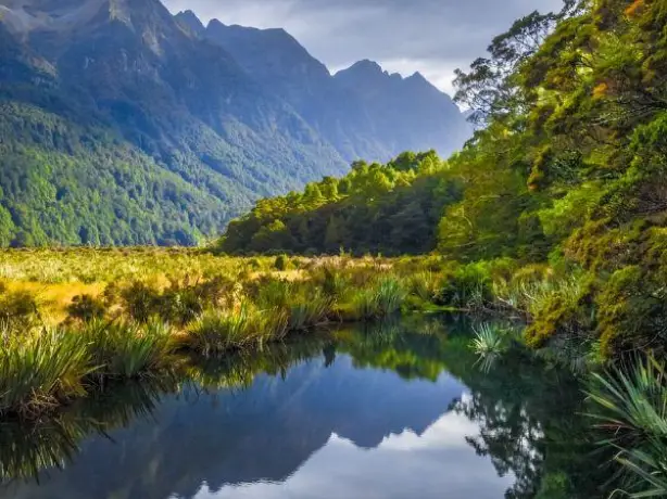 nz-south-fiordland national park-milford sound scenery
