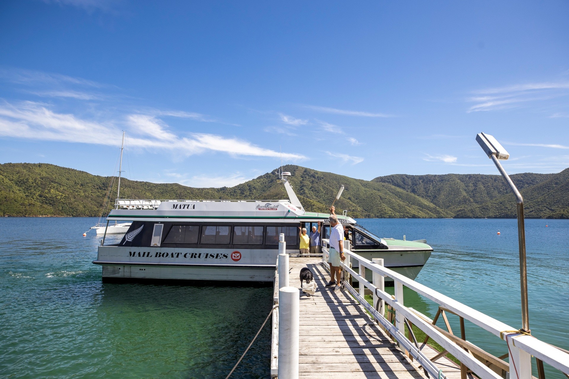 Nz south picton harbour