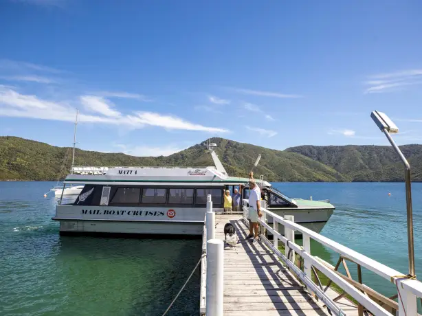 Nz south picton harbour