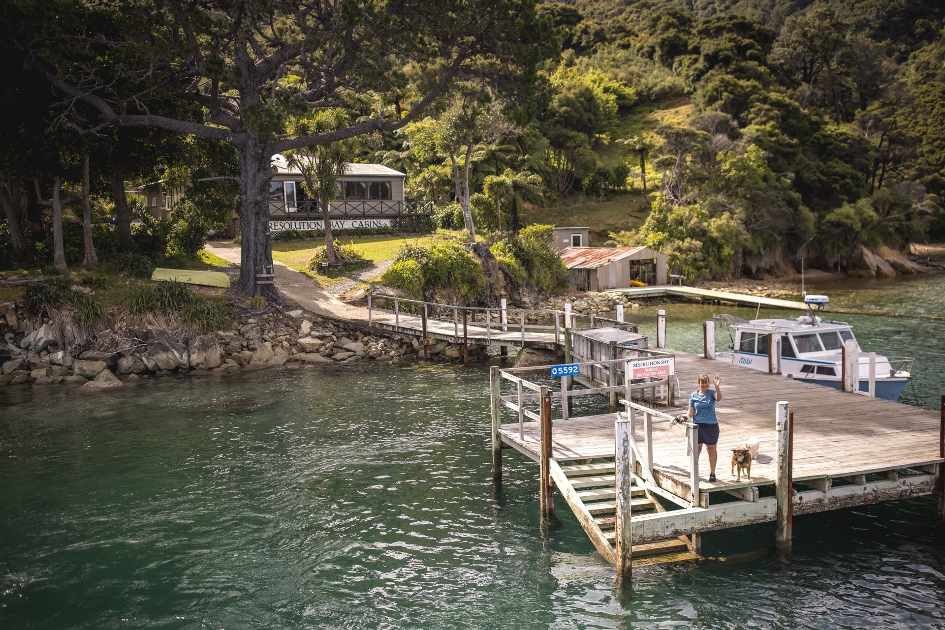 Nz south picton boats harbour