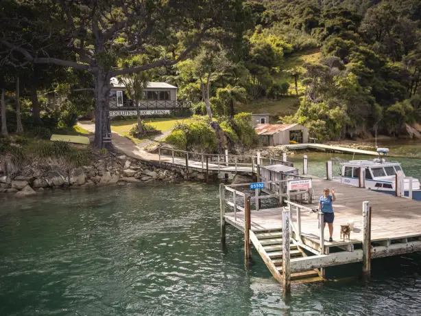 Nz south picton boats harbour