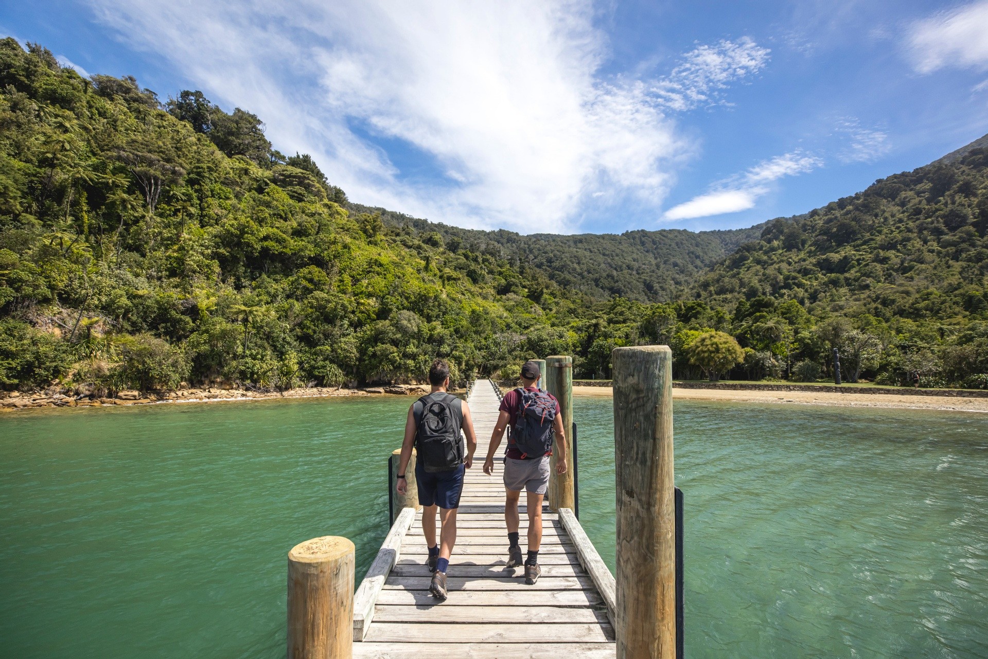 Nz south queen charlotte track