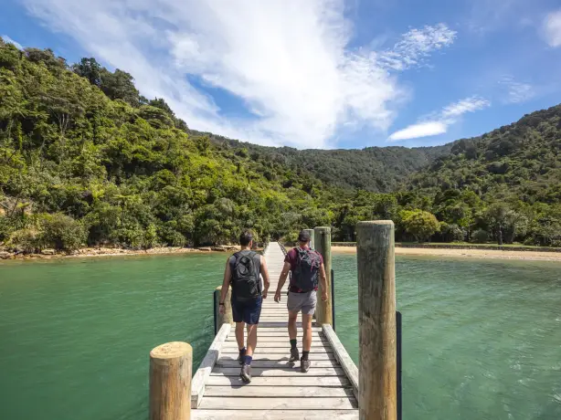 Nz south queen charlotte track