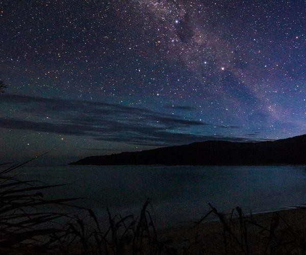 nz-south-stewart island-night sky-milky way