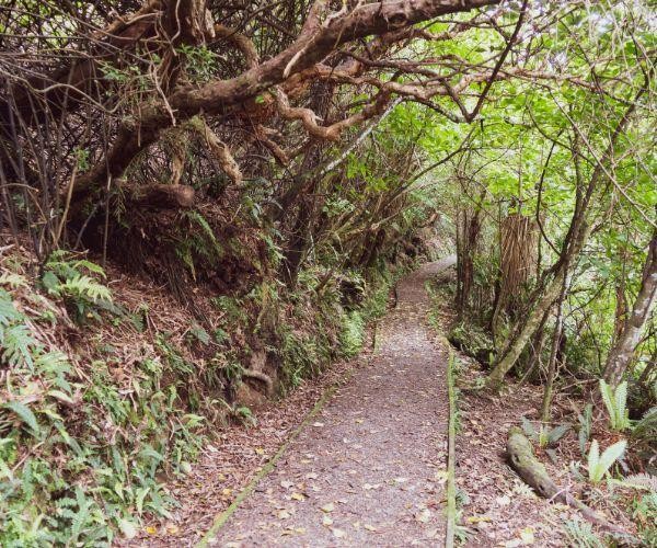 Nz south stewart island golden bay