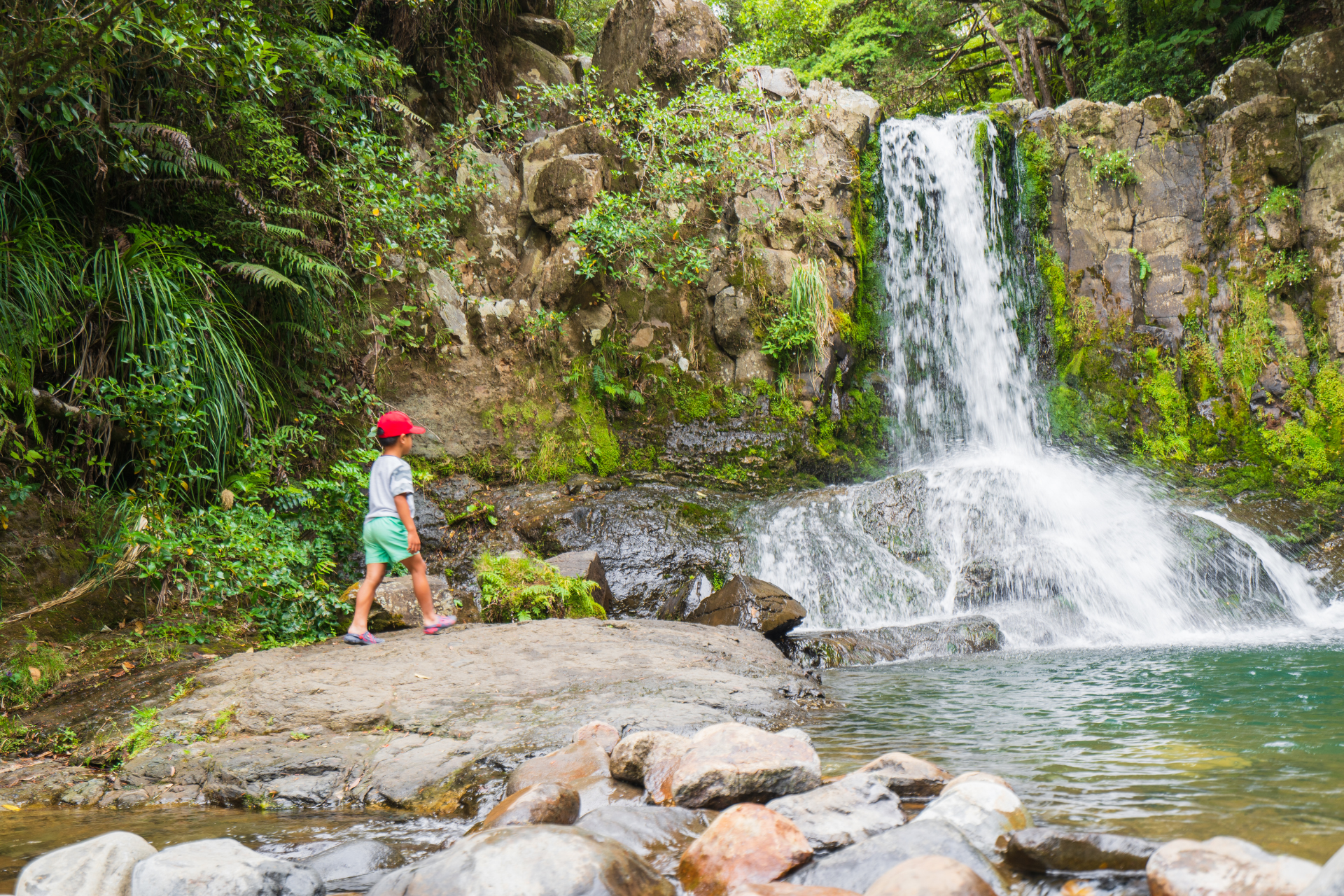 Newzealand north coromandel Waiau Falls