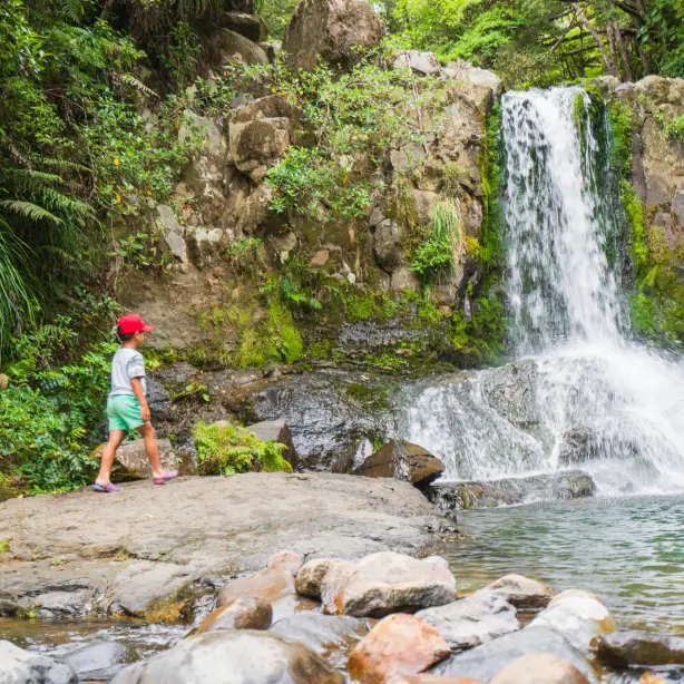 Newzealand north coromandel Waiau Falls