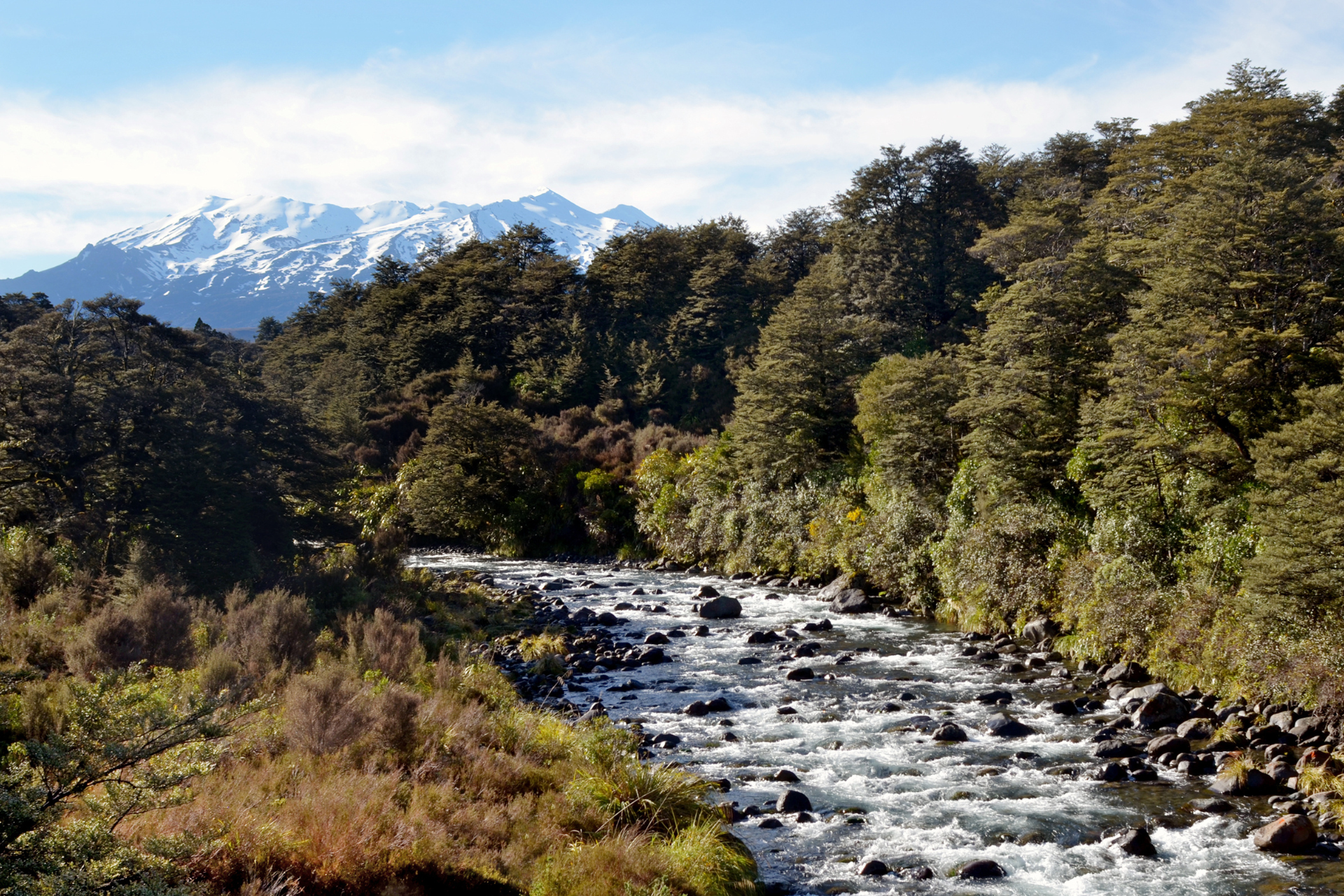 Newzealand north tongarironationalpark