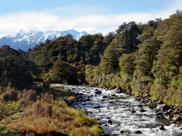 Newzealand north tongarironationalpark