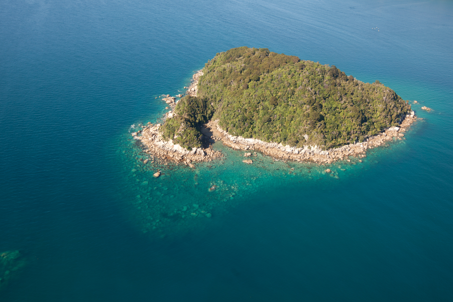 Newzealand south abeltasman tongaisland