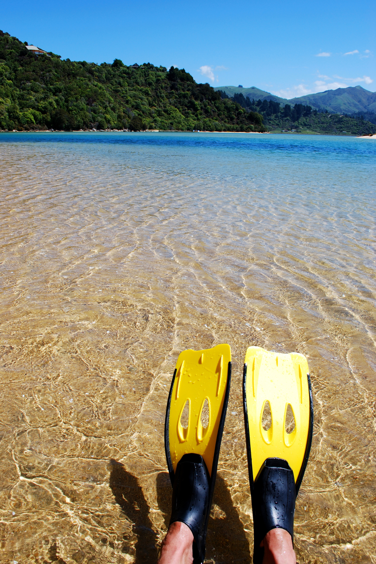 Newzealand south abeltasman snorkeling