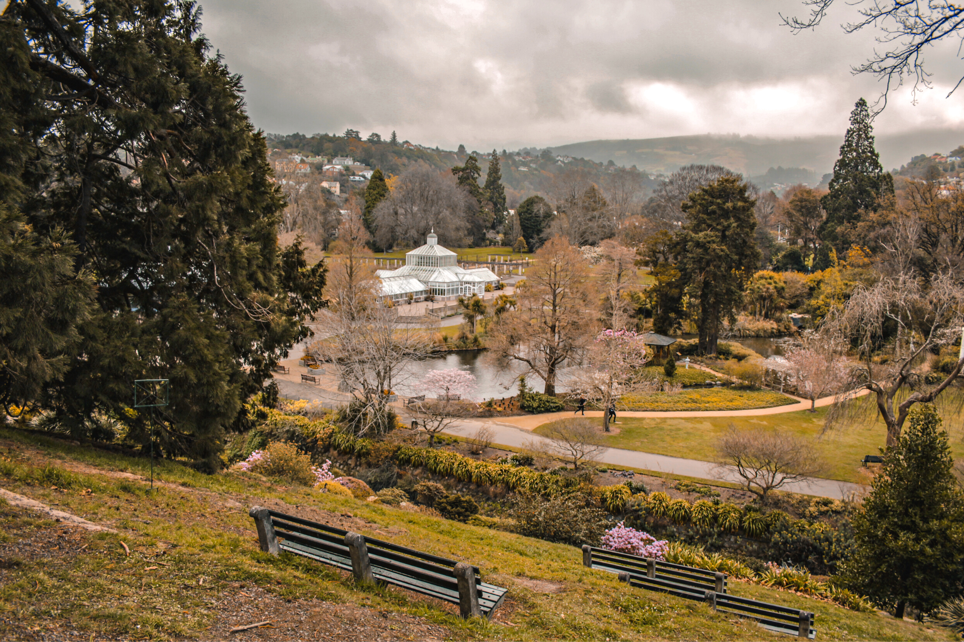 Newzealand south dunedin botanicgardens