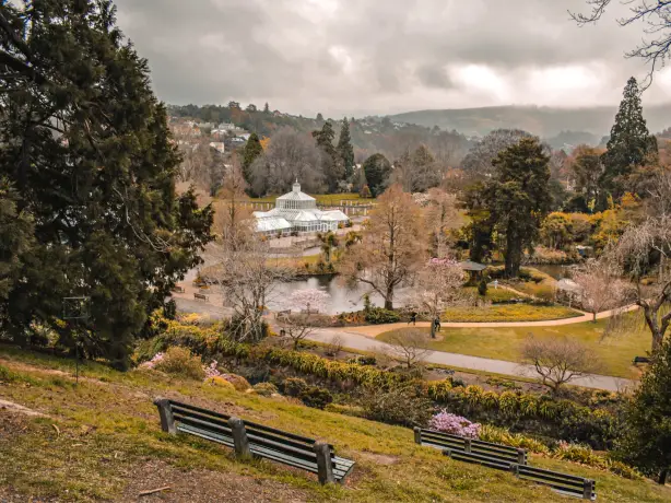Newzealand south dunedin botanicgardens