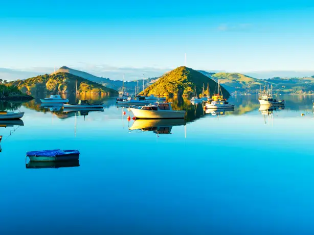 Newzealand south dunedin portchalmers