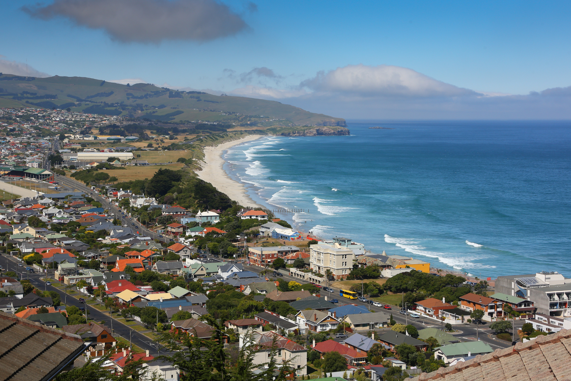 Newzealand south dunedin