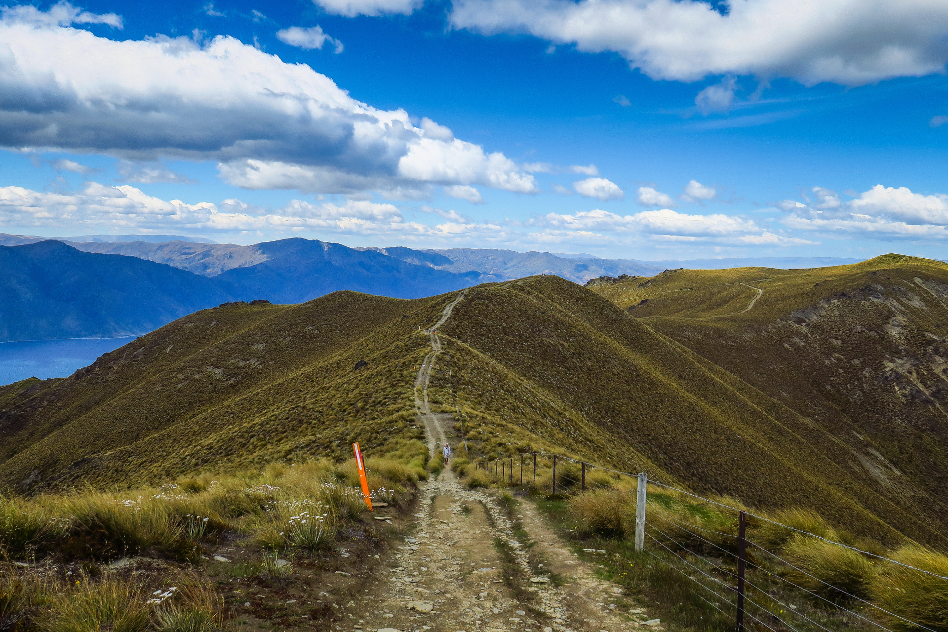 Newzealand south mountaspiring Isthmus Peak Track