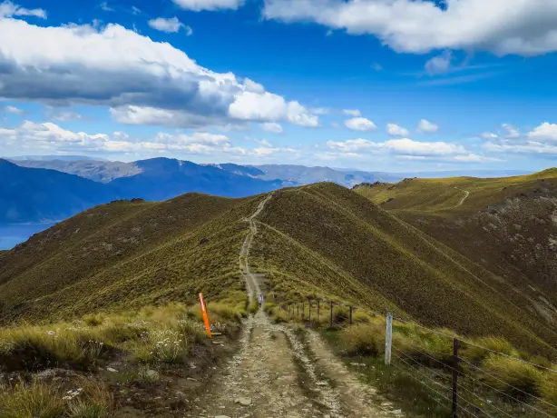 Newzealand south mountaspiring Isthmus Peak Track