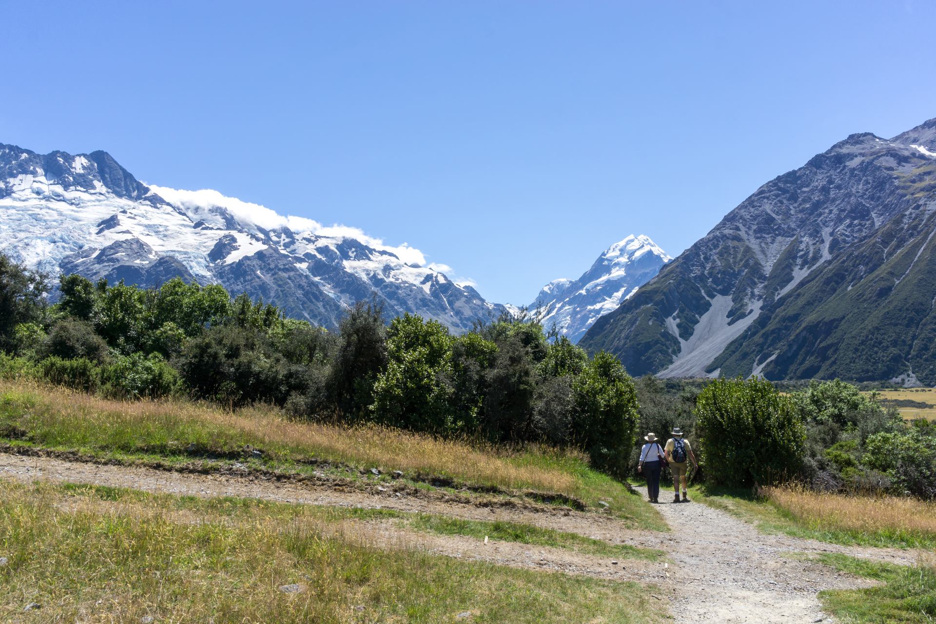 Newzealand south mountcook Kea Point Walk