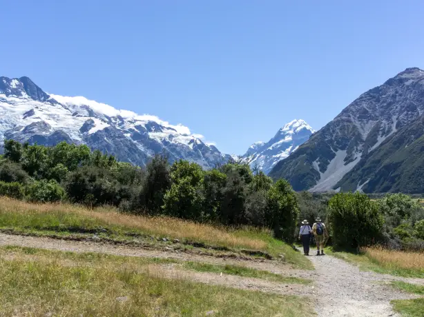 Newzealand south mountcook Kea Point Walk