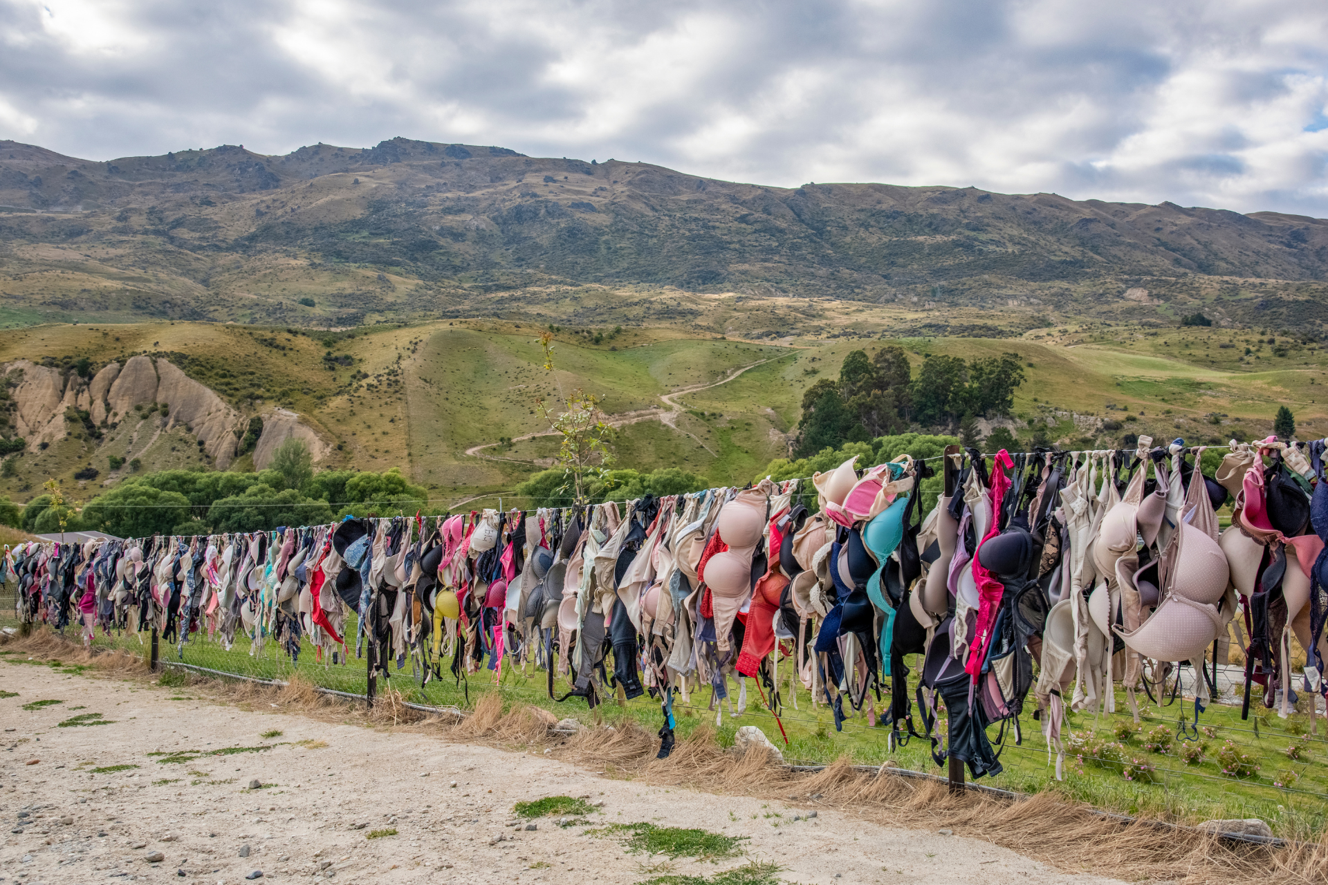 Newzealand south mountcook brafence