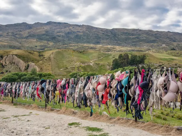 Newzealand south mountcook brafence