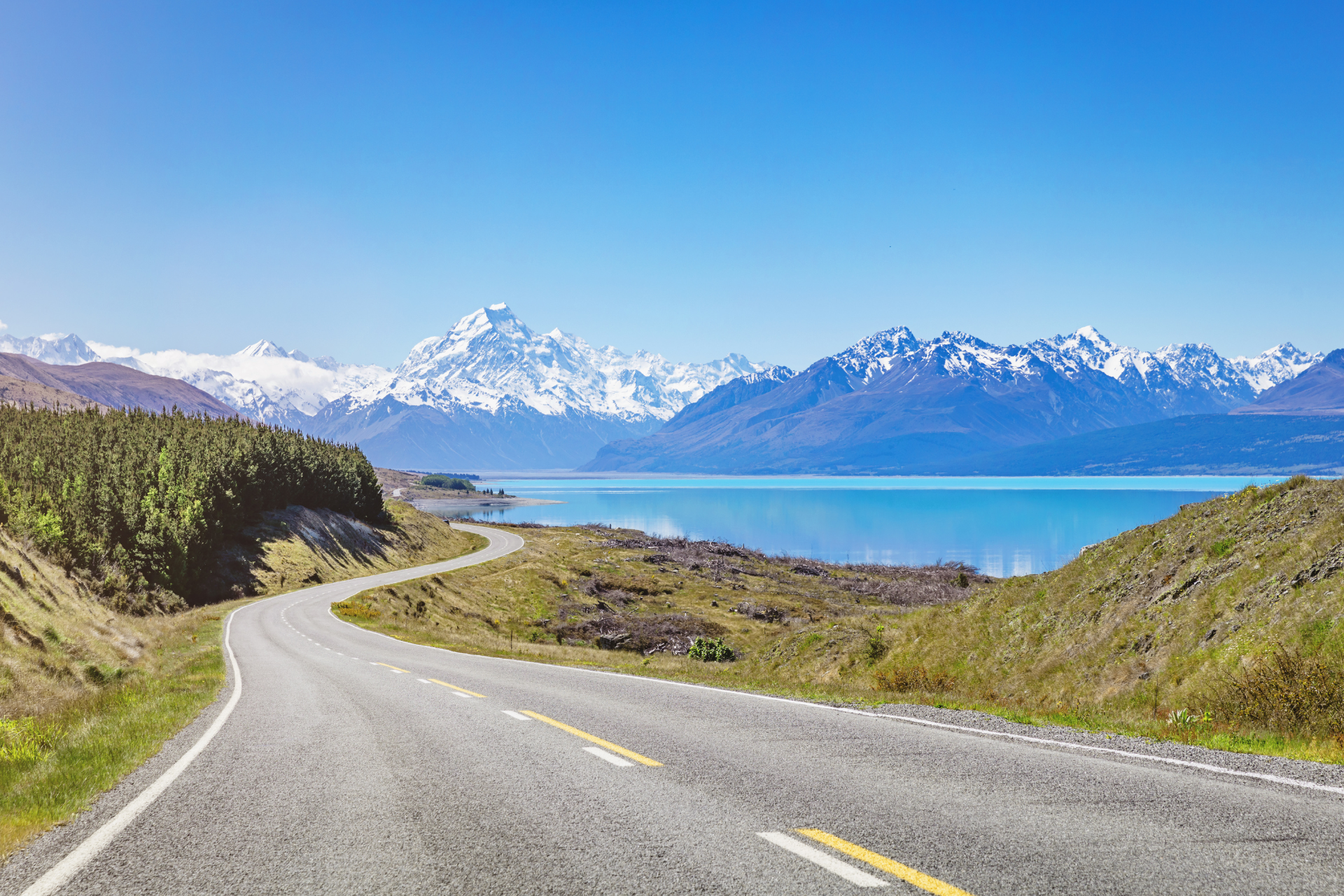 Newzealand south mountcook lakepukaki