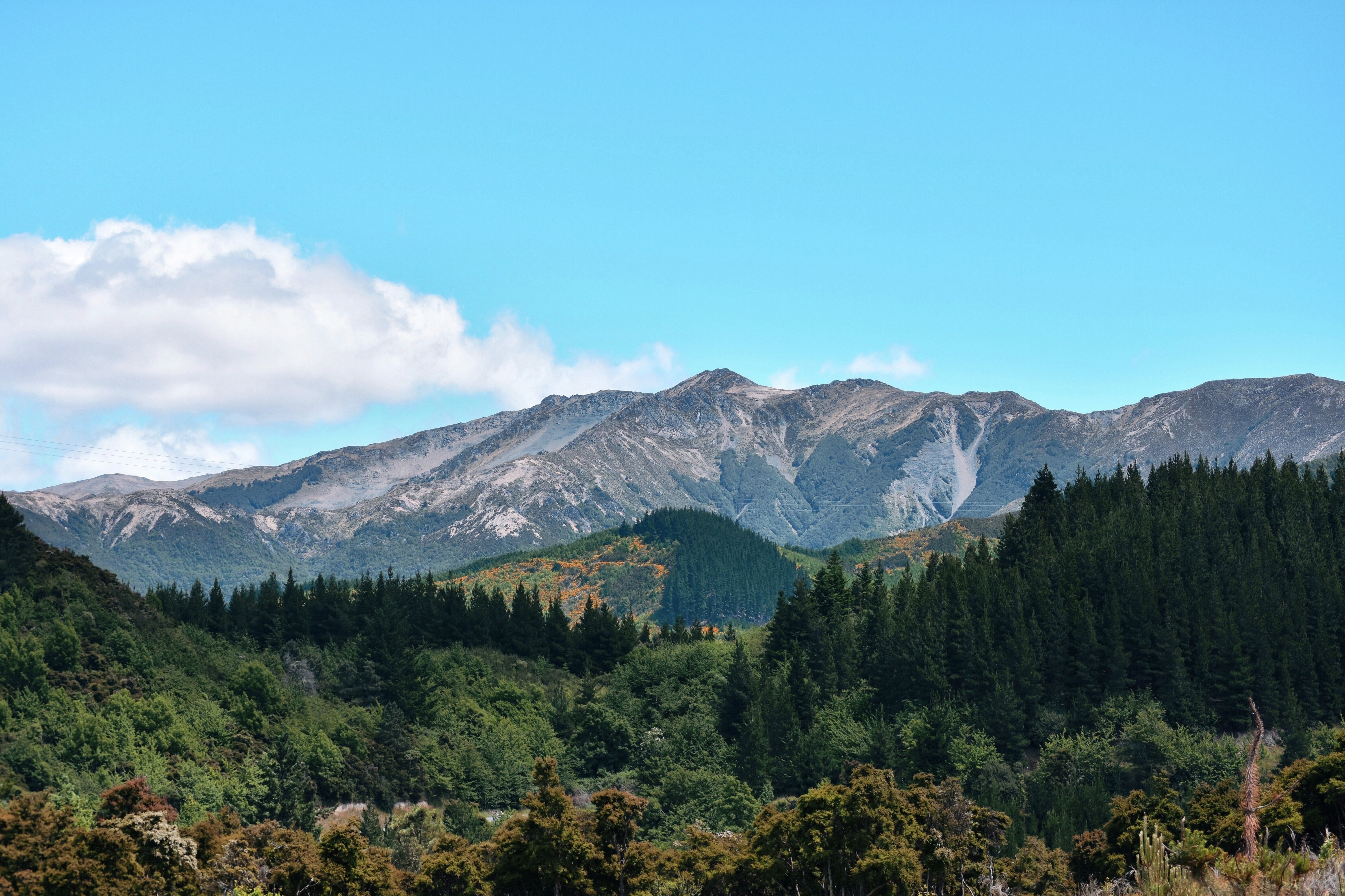 newzealand-south-christchurch-hamnersprings1