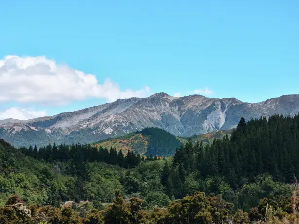 newzealand-south-christchurch-hamnersprings1