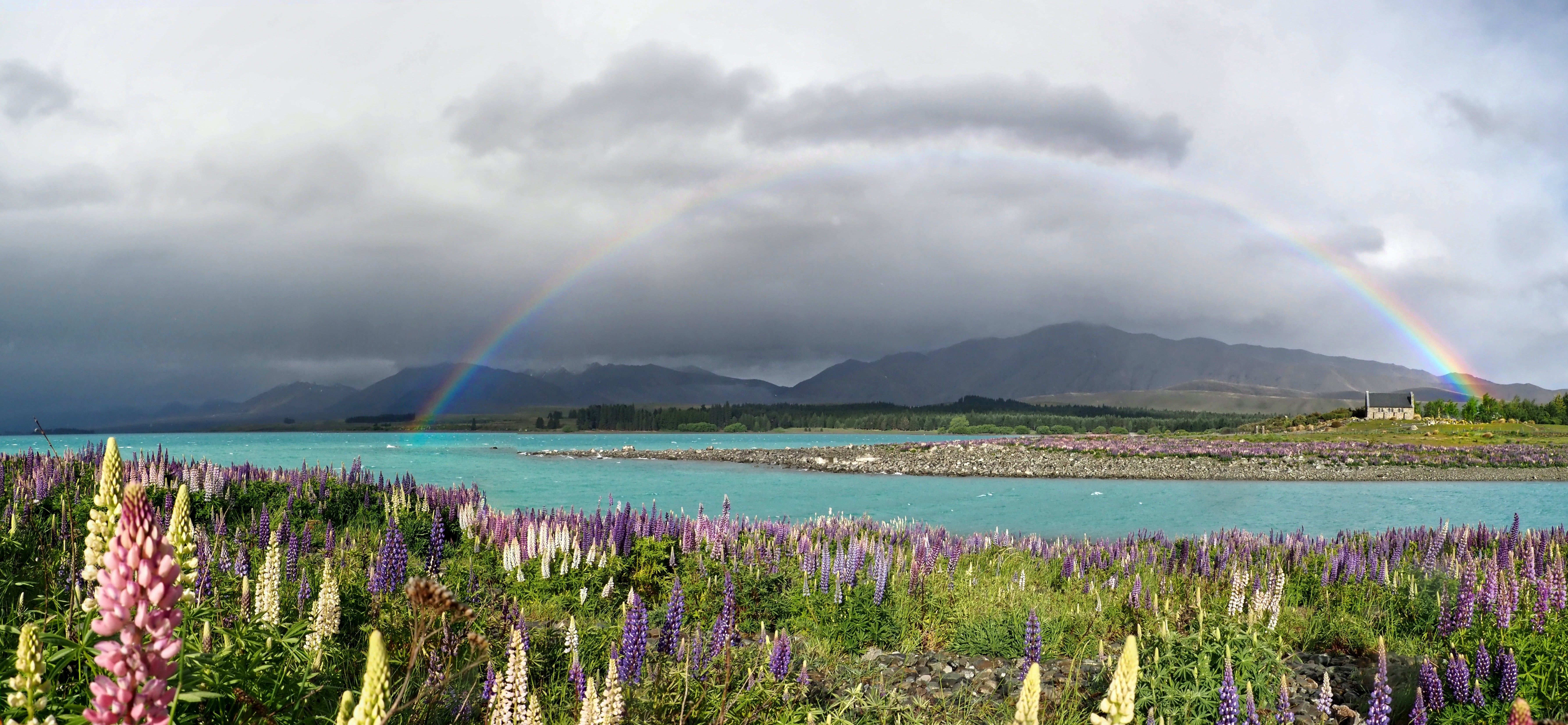 newzealand-south-christchurch-laketekapo