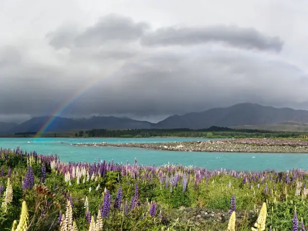 newzealand-south-christchurch-laketekapo
