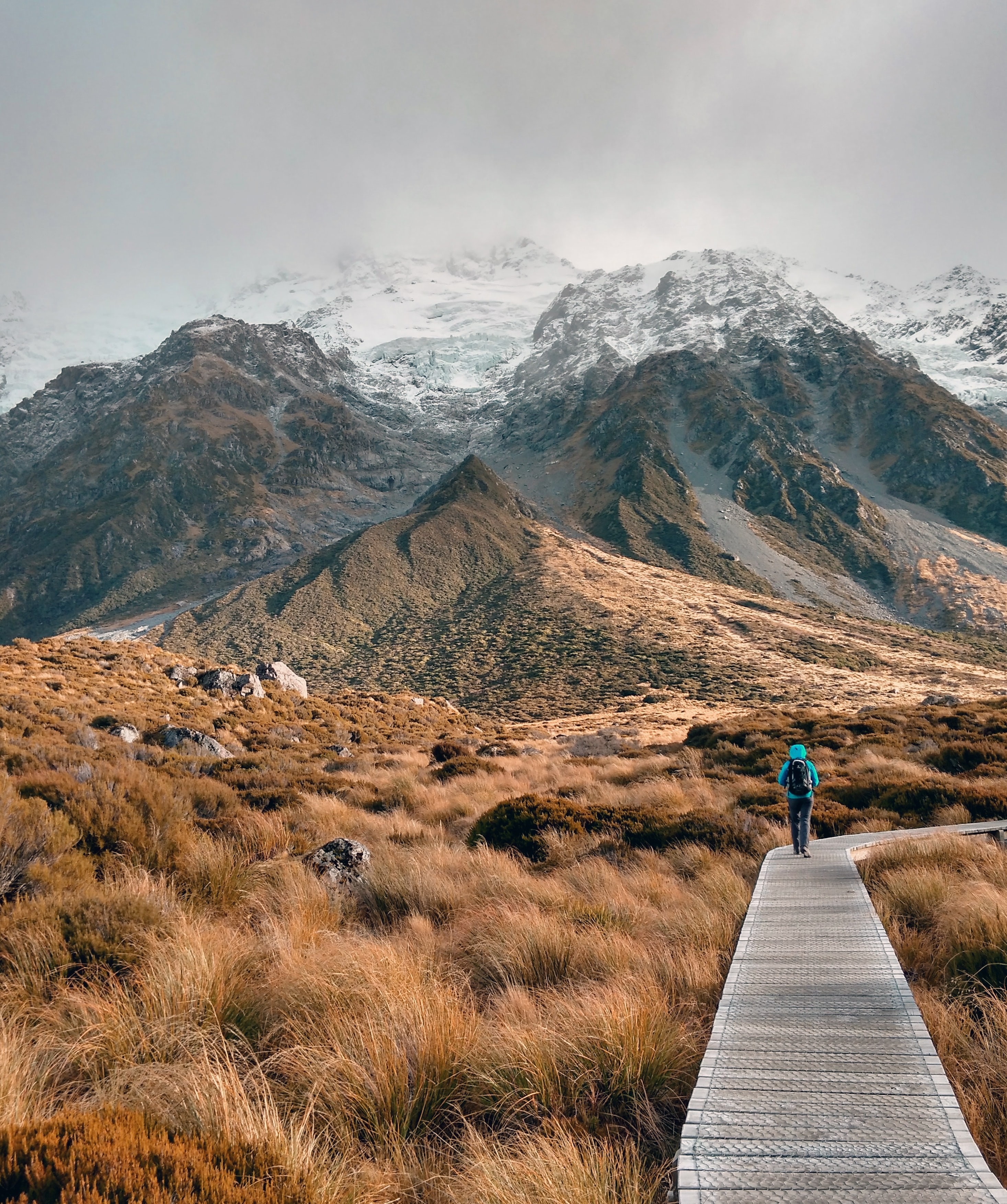 newzealand-south-christchurch-hookervalleytrack