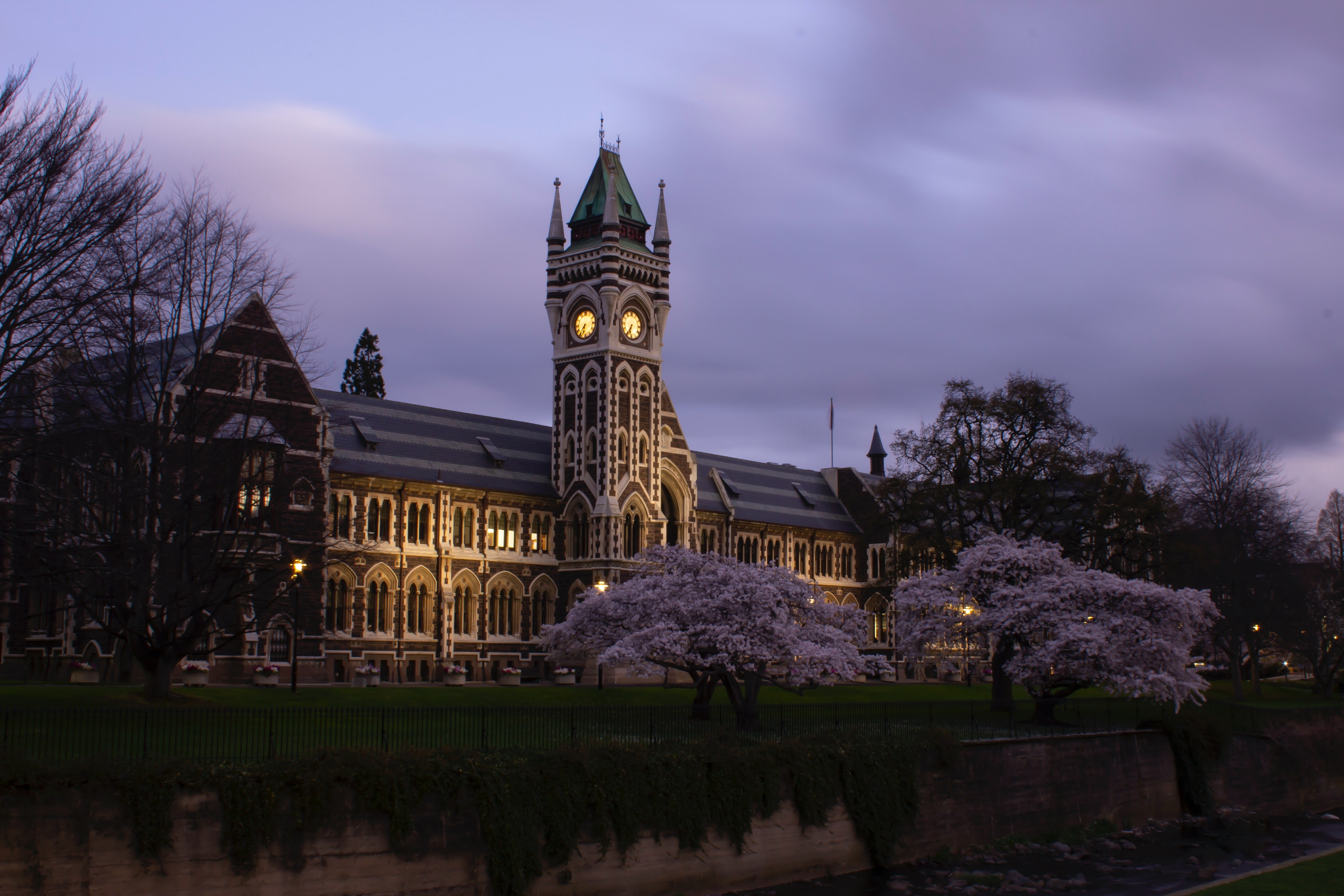newzealand-south-dunedin-university