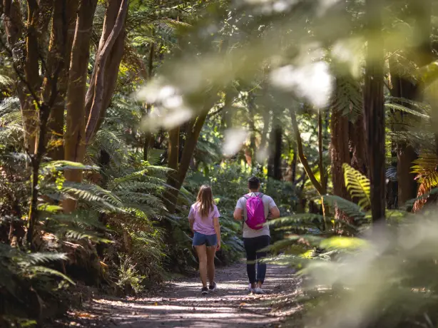 Paar wandert durch den Rotorua-Wald in der Bay of Plenty, Neuseeland