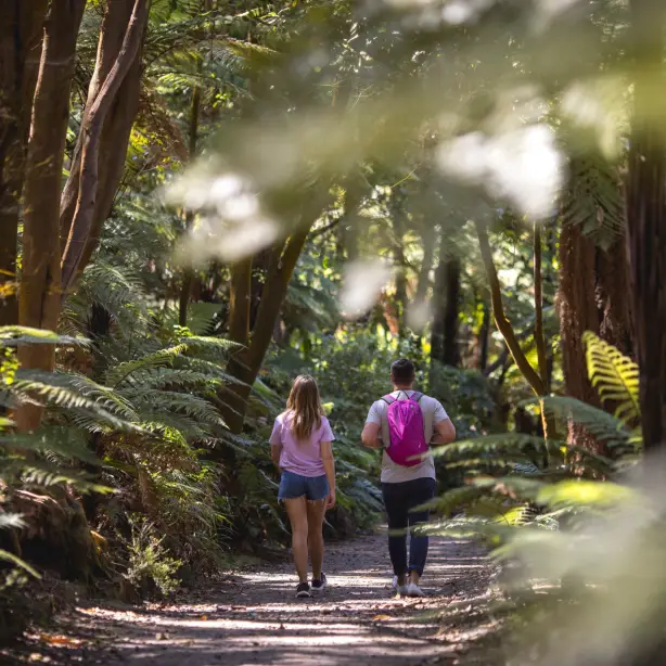 Paar wandert durch den Rotorua-Wald in der Bay of Plenty, Neuseeland