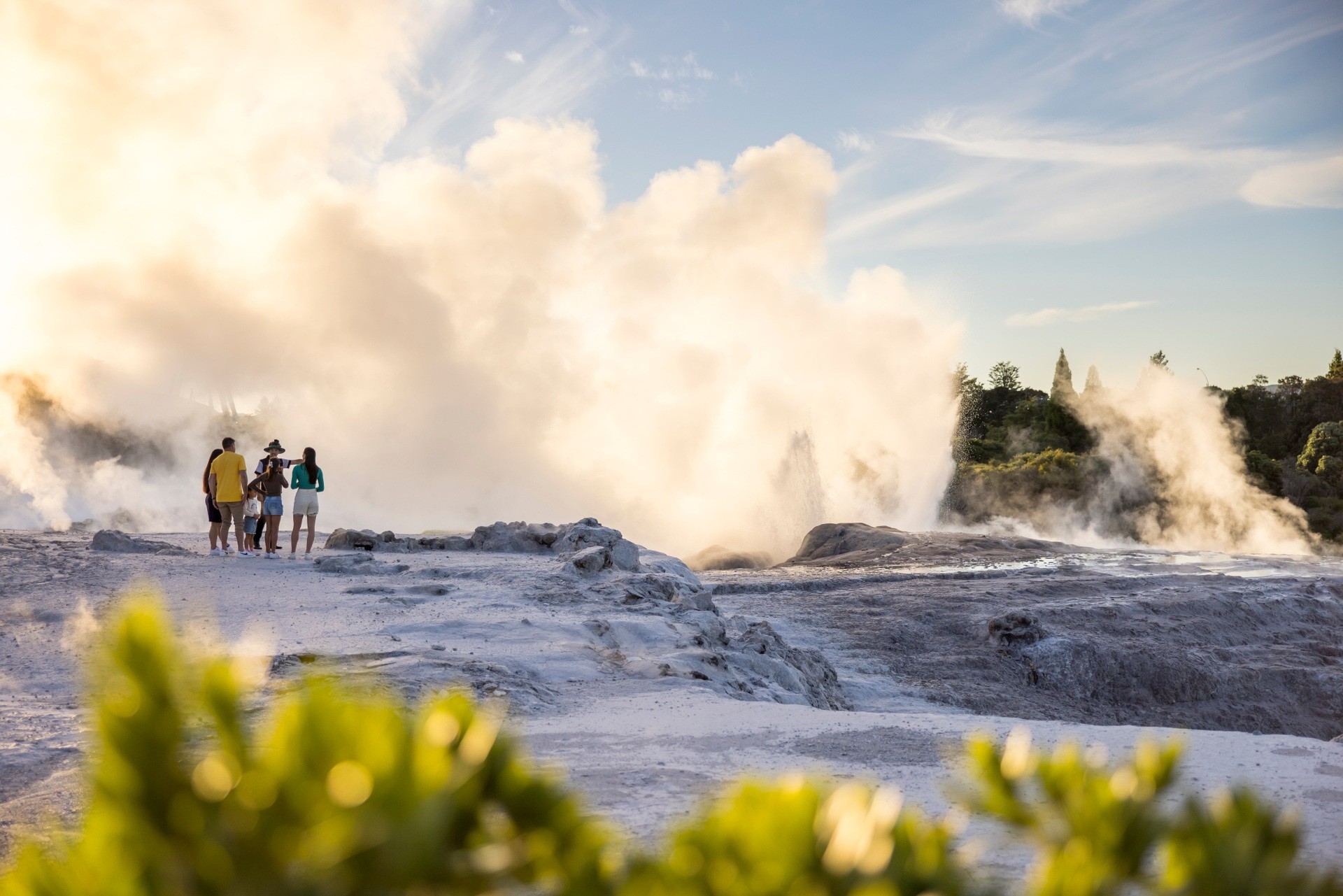 Volcanic activity bay of plenty miles holden