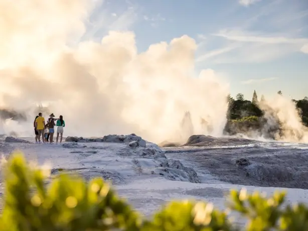 Volcanic activity bay of plenty miles holden
