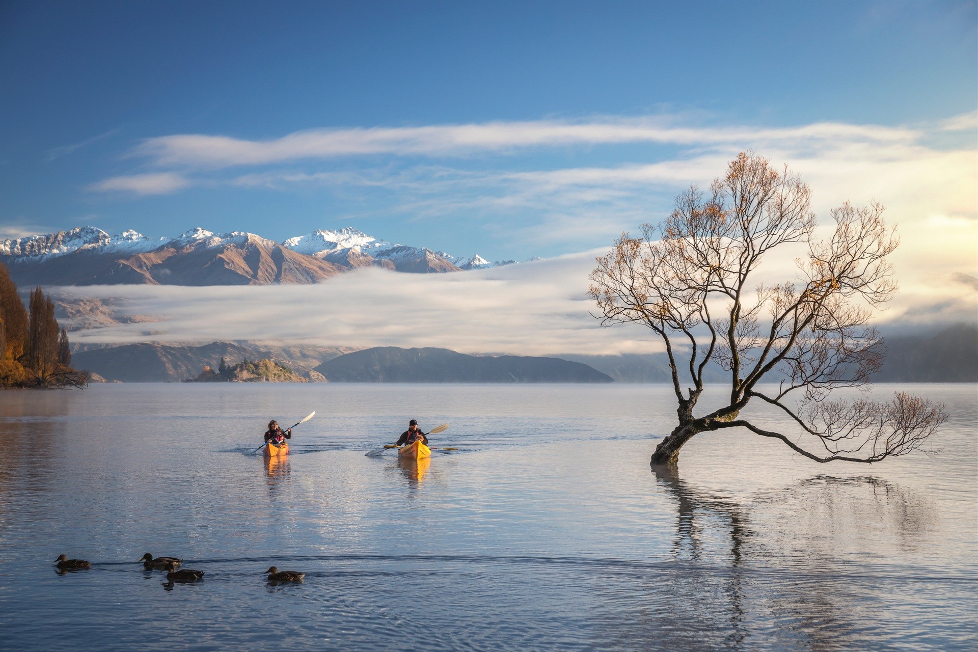newzealand-south-lakewanaka-kayak