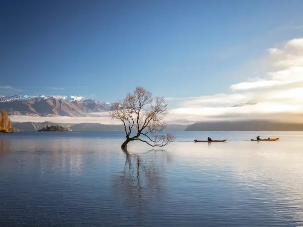 newzealand-south-mountcook-lakewanaka