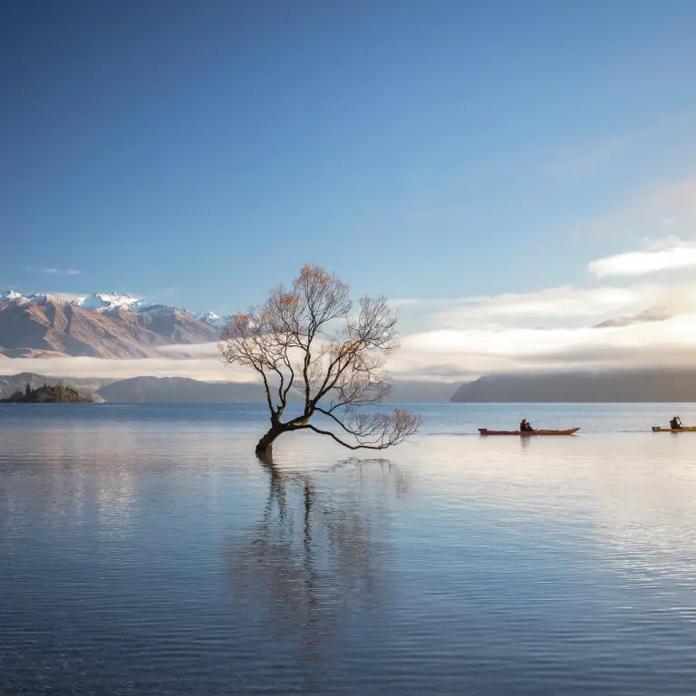 newzealand-south-mountcook-lakewanaka