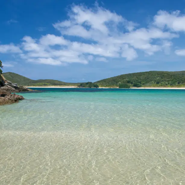 NZ - Northland