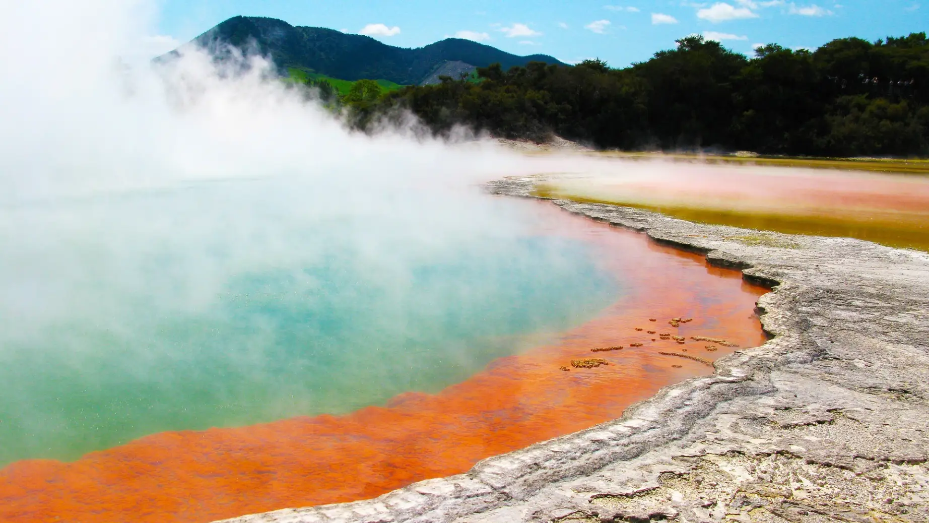 Geysir in Rotorua, Neuseeland