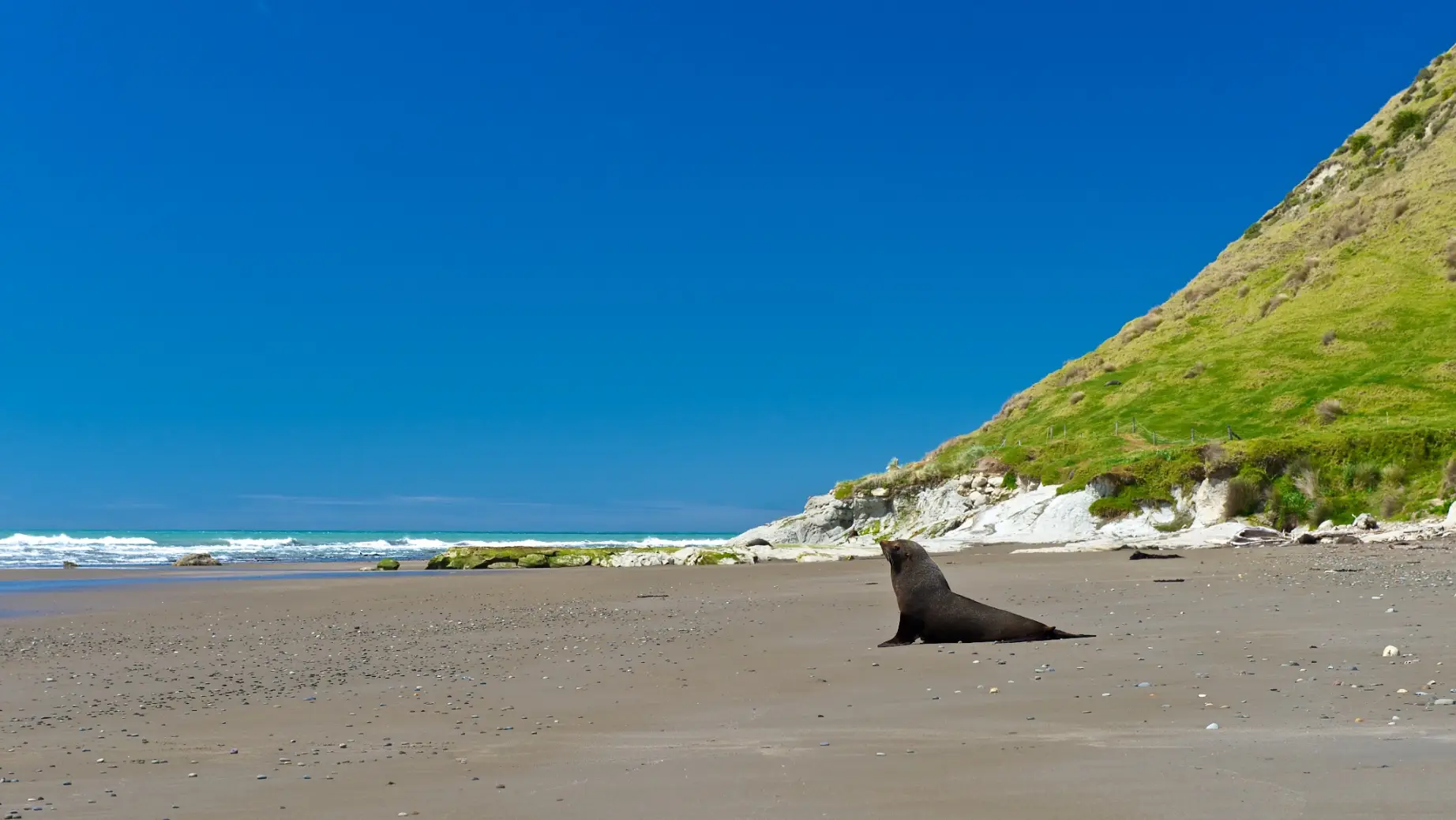NZ- Gisborne & East Cape