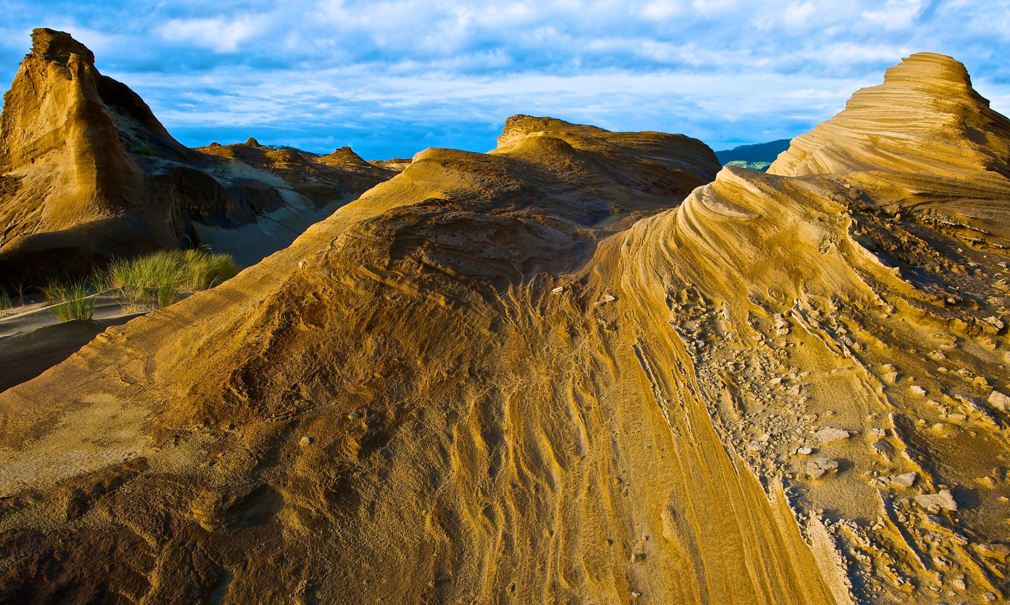 Neuseeland Northland Hokianga Sanddünen