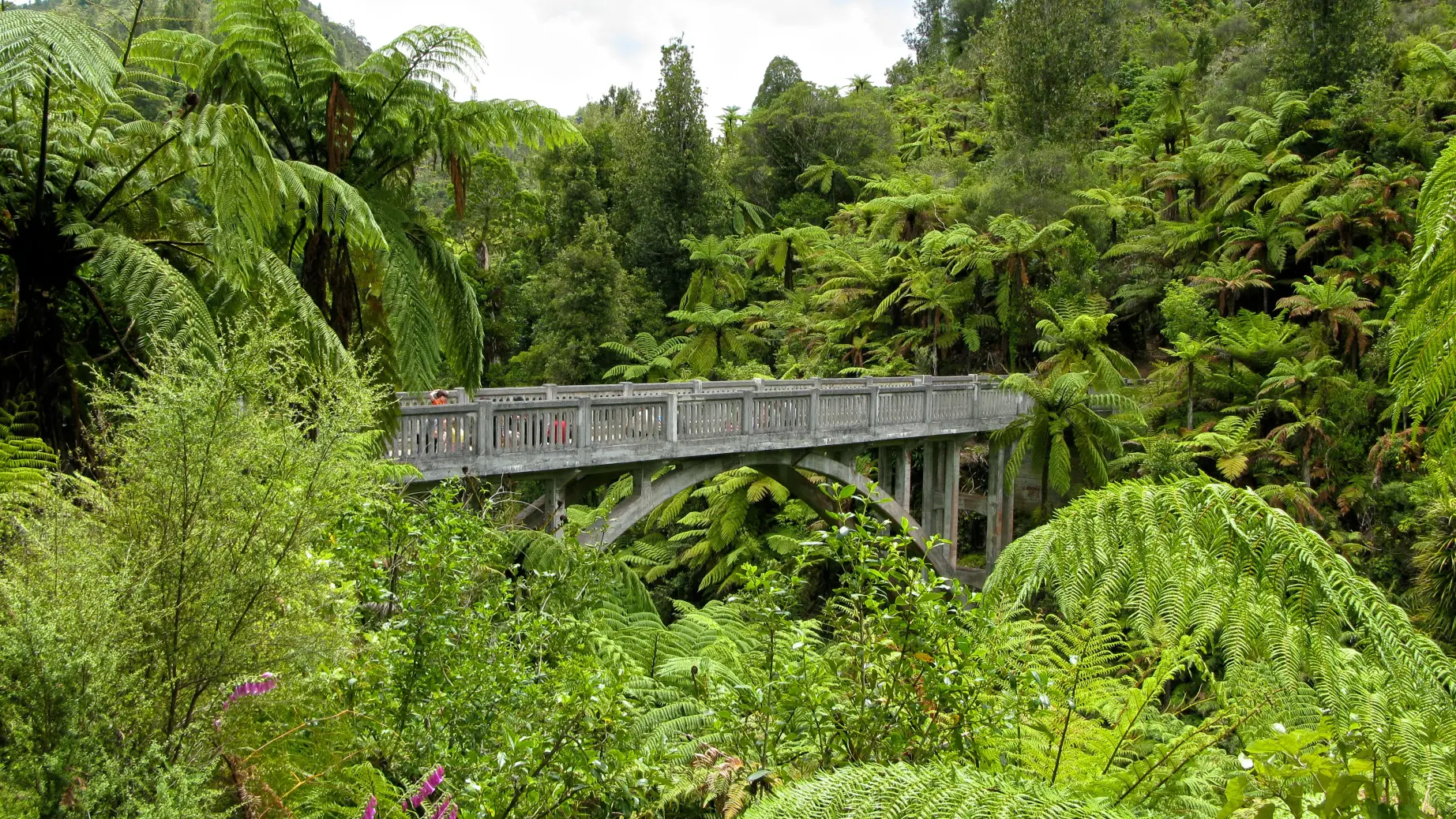 NZ - Whanganui River Valley