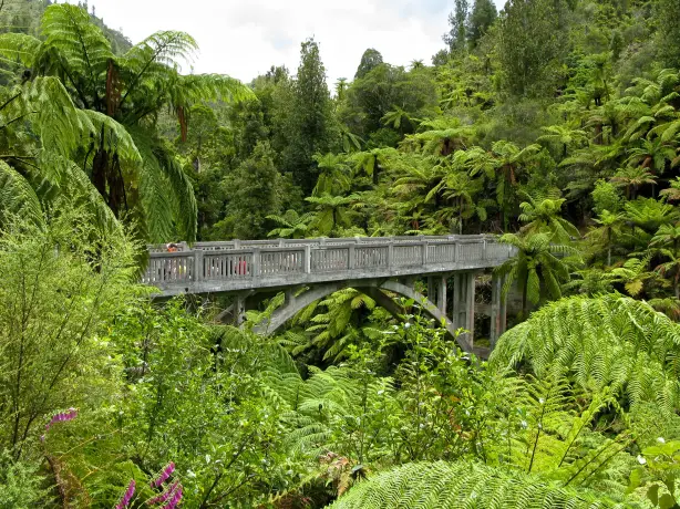 NZ - Whanganui River Valley