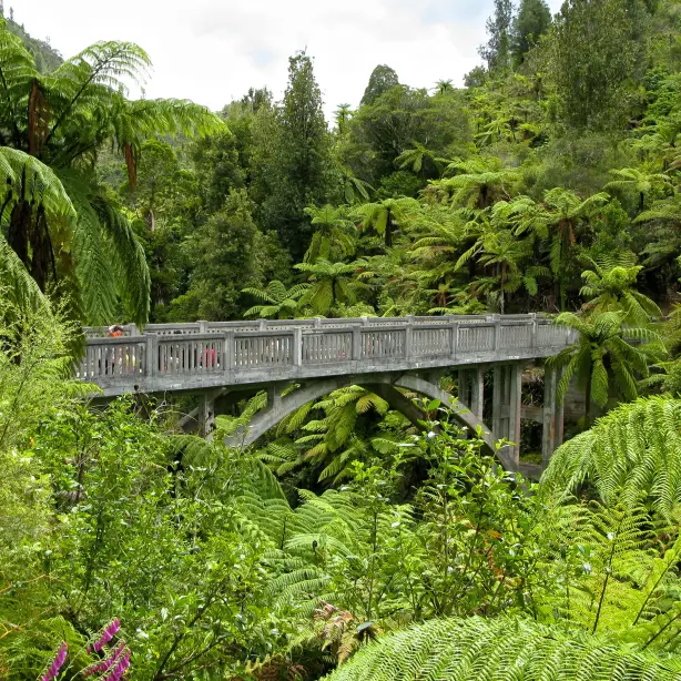 NZ - Whanganui River Valley